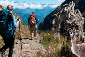 Machu Picchu Entrance Ticket Included in the Inca Trail Treks for