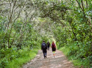 How to Get to Machu Picchu in 1 Day - Blog Inca vision tours