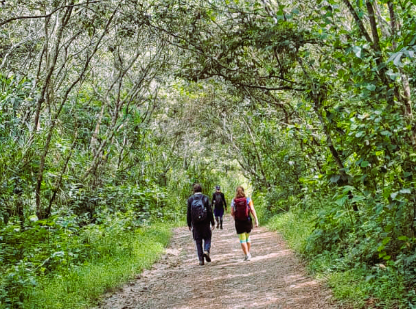 How to Get to Machu Picchu in 1 Day - Blog Inca vision tours