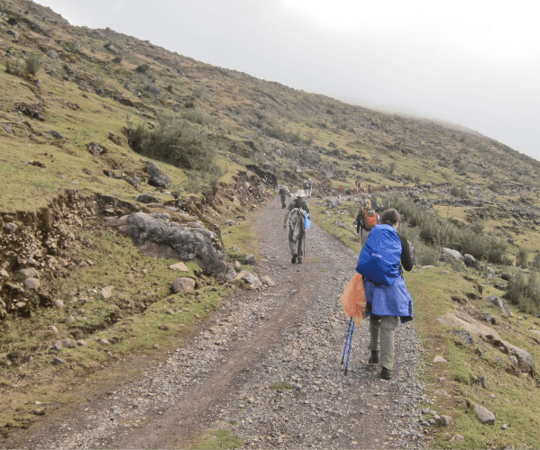 Trek Machu Picchu
